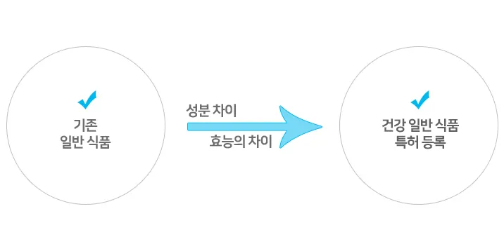 기존 일반 식품에서 성분 차이, 효능의 차이를 통해 일반 식품 특허 등록