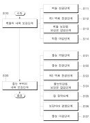 스크류 보강부재를 이용한 보강 구조의 시공 방법 대표도면