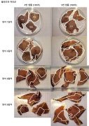 플라즈마를 이용한 해조류의 무성생식 증식 방법 대표도면