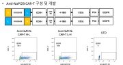 Napi2b 특이적 car-t를 포함하는 난소암 치료용 약학 조성물 대표도면