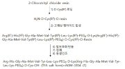 뉴클레오린에 특이적으로 결합하는 agm 펩타이드를 제조하는 방법 대표도면