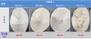 노후 상수도관내 오염원 세정을 위한 이액형스케일 제거제 및 스케일 제거방법 대표도면