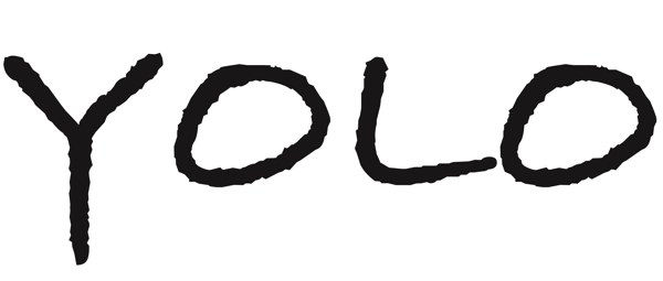YOLO 표장
