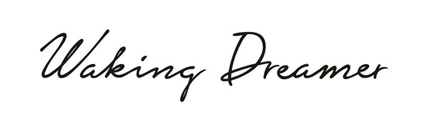Waking Dreamer 표장