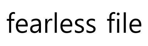 fearless file 표장
