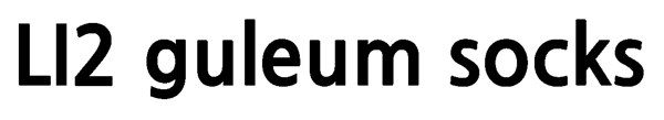 LI2 guleum socks 표장